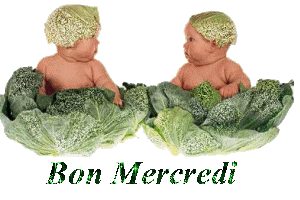 Gif animé Bon mercredi bébés